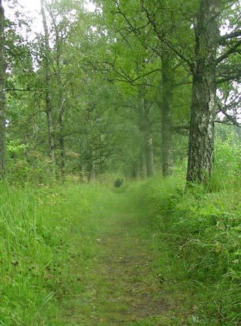 kommun Jan-Olov