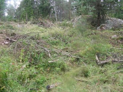 Skötsel Röjning av sly och risiga enar mellan hällarna är akut. Under en stor ek vid åkerkanten i den sydvästra delen kan en slåtterinsats gynna ängsskäran.