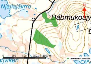 Ekopark Luottåive Jokkmokks kommun Mittpunktskoordinat: N: 7363501, O: 721324 Datum för inventering: 2018-08-13/14 Barrblandskog (gran