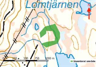 Norr om Bientjiejávrrie Arjeplogs kommun Mittpunktskoordinat: N: 7302262, O: 625338 Datum för inventering: 2018-08-08 Den dominerande skogstypen i området är tallskog.