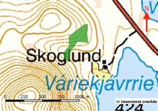 Storberget Arjeplogs kommun Mittpunktskoordinat: N: 7297860, O: 627884 Datum för inventering: 2018-08-09 Granskog (90 %) är den dominerande skogstypen med