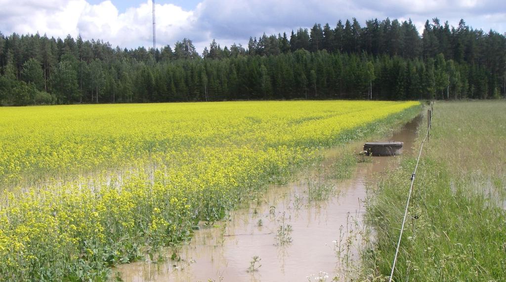 Nuvarande regelverk är ett hinder för att klimatanpassa huvudavvattningen.