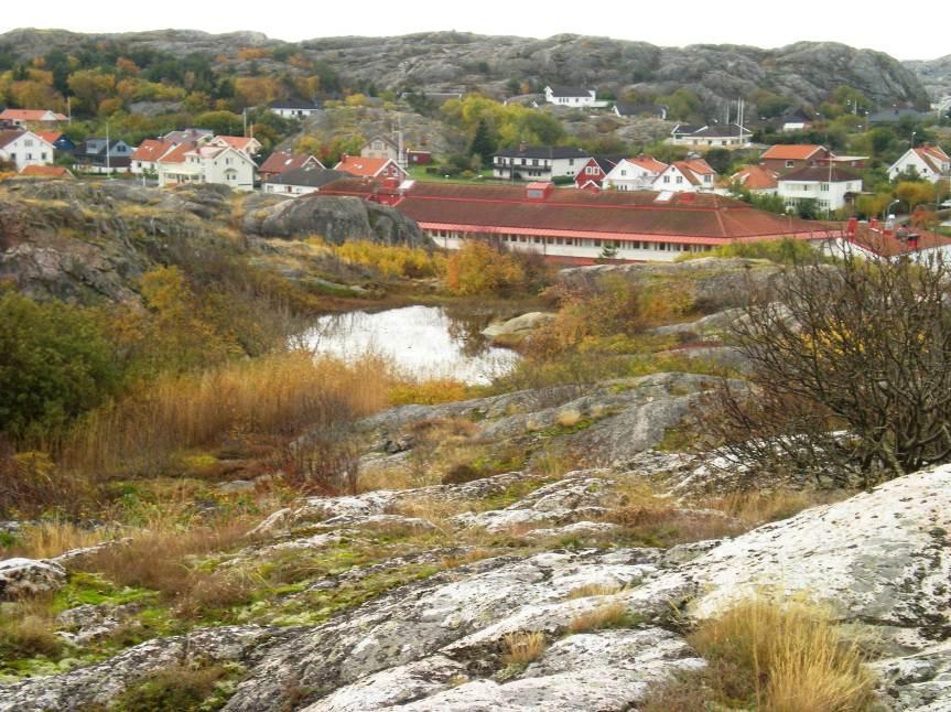 9 (20) Vidare noterades vid inventeringen att avvattning av dammen i den sydöstra delen av planområdet, se figur 4, sker i sydvästlig riktning ner mot det befintliga reningsverket som planeras att