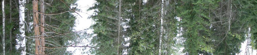 6 (15) Naturtyperna inom det inventerade området domineras av barrskog med företrädesvis gran i söder och tall i norr. Skogarna är brukade och av varierande ålder.