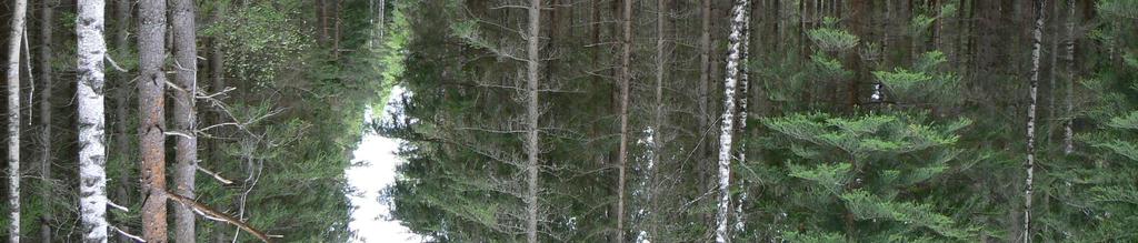 Terrängen är bitvis förhållandevis kuperad med inslag av uppstickande hällmarkskullar.
