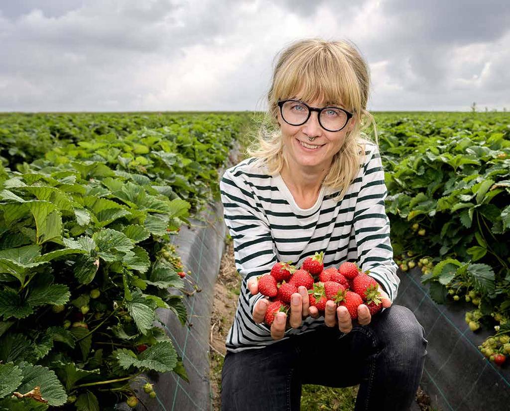 Februari Lina Herbertsson Foto: Kennet Ruona Små bin med stora uppgifter - varför dör våra bin? Torsdag 28 februari kl. 18.