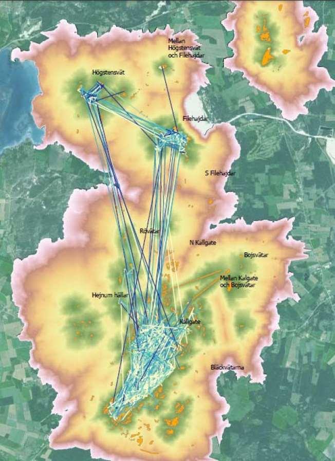 2018-10-31 5/9 Väddnätfjärilen har en metapopulationsdynamik med lokala utdöenden och återkoloniseringar varför möjligheten att sprida sig mellan områden är av stor betydelse, se figur.