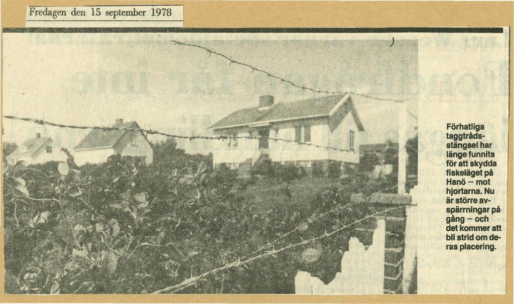 _Fredagen den 15 september 1978 Förhatliga taggtrådsstängsel har länge funnits för att skydda fiskeläget