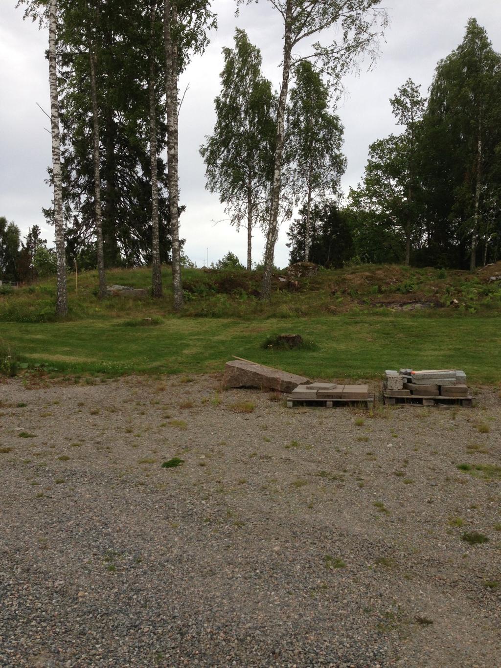 Slutsats Fältinventeringen visar att detaljplaneområdet vid Turistgården i Töcksfors till största del utgörs av mark som är starkt exploaterad. Områdets n är förhållandevis låga.