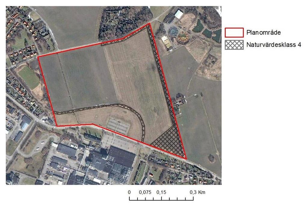 Figur 6 Planområde med identifierat naturvärdesobjekt av naturvärdesklass 4 Bedömning av detaljplanens påverkan på naturvärden Inom planområdet En mindre del av naturvärdesobjektet försvinner genom