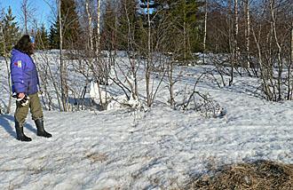 Renar i skärgården, Om man ställer frågan Vad tycker du om renar och renskötsel i skärgården? får man förmodligen lika många svar som det antal människor man frågar.