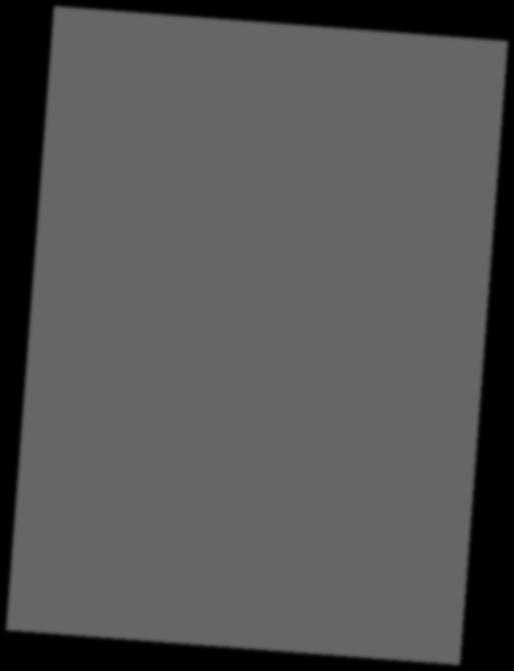Rapporten