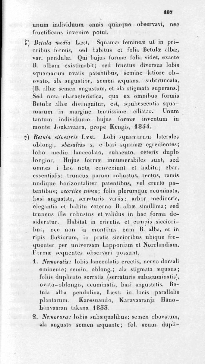 tor unum individuum annis quiuque observavi, nec fiuetifirans invcmre polui. t) Betula media L;csl. Squama; feminca; ut in pri oribus furmis, sed habilus et folia Betula; alba;, var. pendula;.