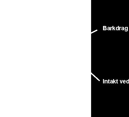 (huvudstammen D) diameter, mätt vid klykans bas. Figur 1. Definition av klyka D d En klyka kan vara antingen öppen eller sluten.