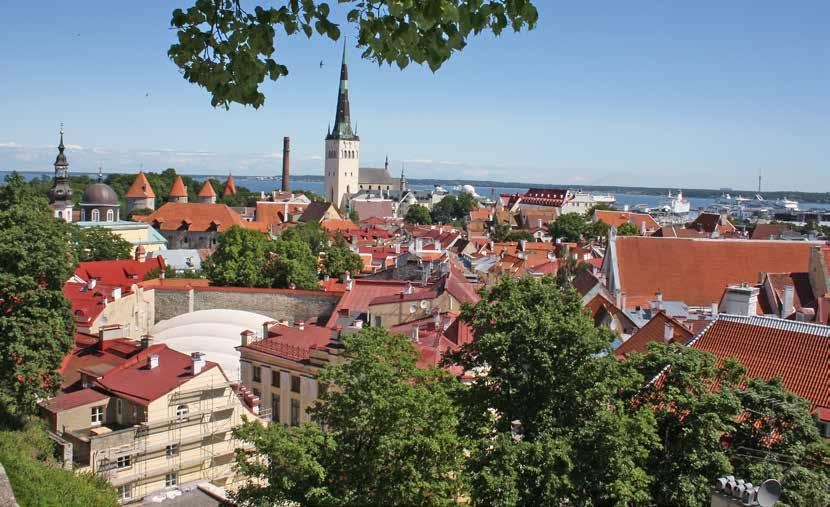 TILLSAMMANS Utveckling 19 Medlemmarna har erbjudits utbildning inom olika områden som juridik, affärsmannaskap, Robust fiber etc Hemsidan är omgjord för att tydligare visa vilka utbildningar