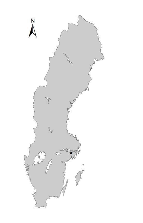 Figur 2. Bergaholm avrinningsområde med fosforhalten i matjorden (P-AL dvs. ammoniumlaktatextraherad P). Området närmats utloppet till fosfordammen (i norr) används som rasthagar för hästar.