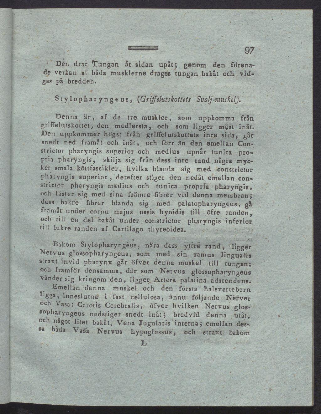 97 Der» drar 'Tungan åt sidan upåt; genom den förena de verkan af båda musklerne dragés tungan bakåt och vid gas på bredden. Stylopharyngeus, (Griffehitskottets Svälj-muskelj.