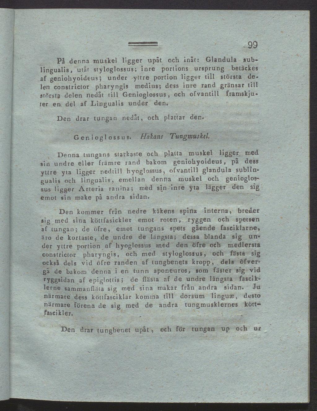 99 På denna muskel ligger upåt och inåt: Glandula sub ungualis, utåt styloglossus; inre portions ursprung betäckes af geniohyoideus; under yttre portion ligger till största de len con8trictor