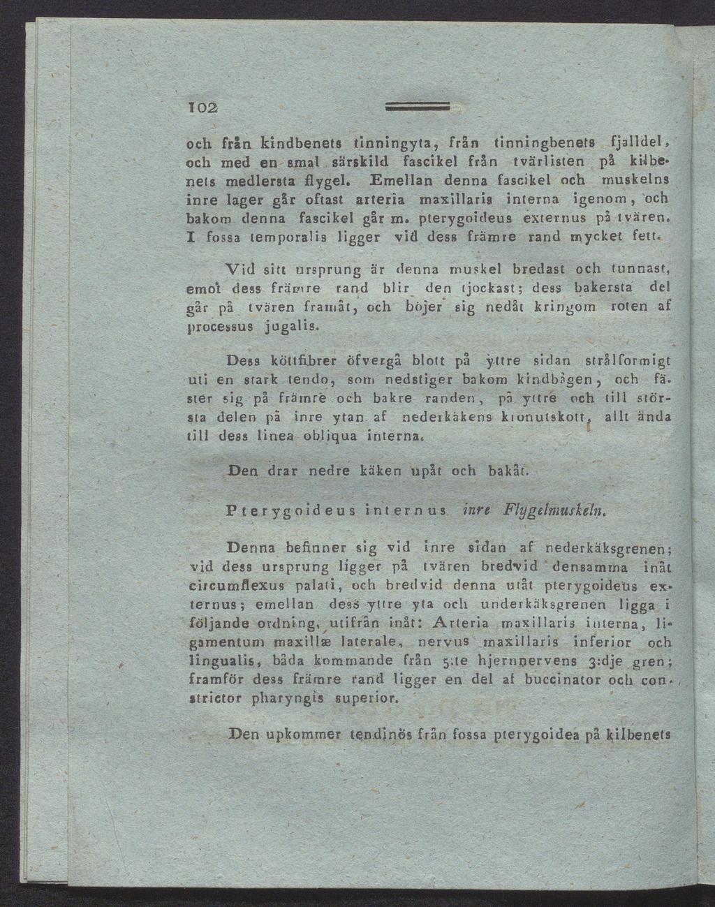 och från kindbenets tinningyta, från tinningbenets fjalldel, och med en smal särskild fascikel från tvärlisten på kifbenets medlersta flygel.