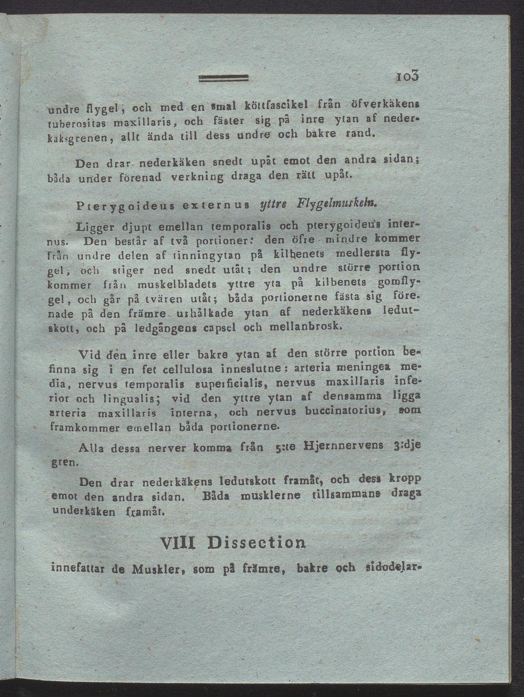 io3 undre flygel, och med.en «mal köttfascikel från öfverkäkens tuberositas maxillaris, och fäster sig på inre ytan af nederkaksgrenen, allt ända till dess undre och bakre rand.