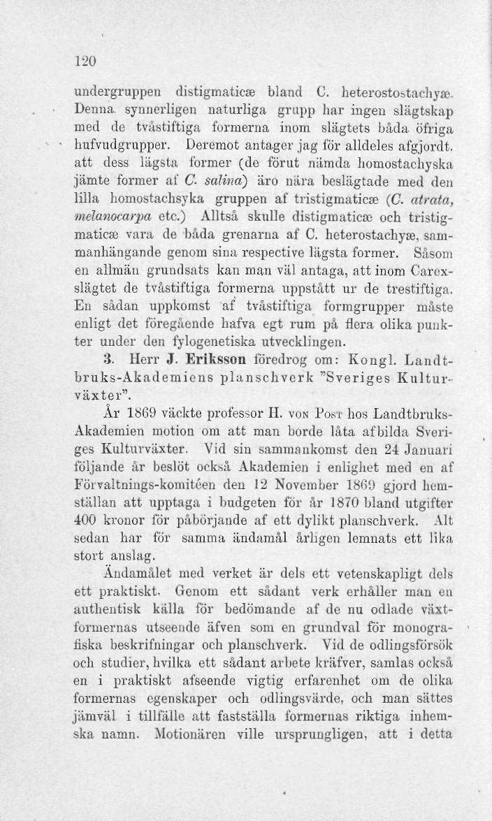 1-20 undergruppen distigmaticse bland C. heterostostaehyae. Denna, synnerligen naturliga grupp har ingen slägtskap med de tvåstiftiga formerna inom slägtets båda öfriga hufvudgrupper.