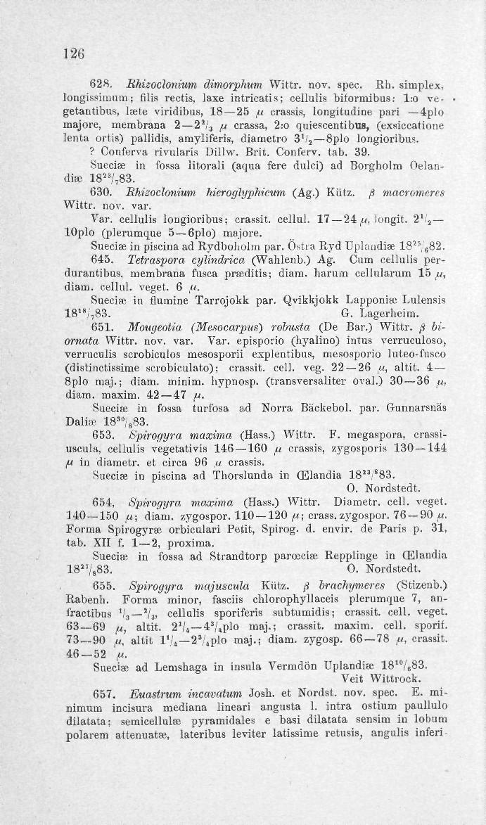 126 628. Rhisodonium dimorphum Wittr. nov. spec. Rli.