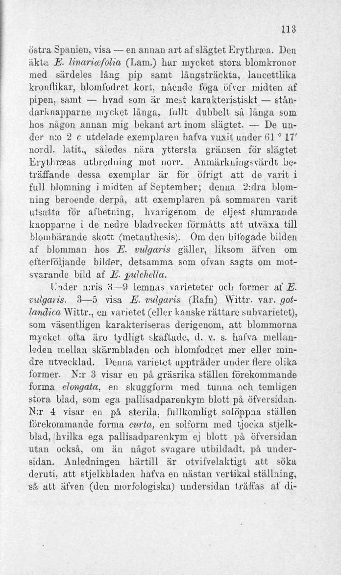 113 östra Spanien, visa en annan art af slägtet Erytlmea. Den äkta E- Unariafölia (Lam.