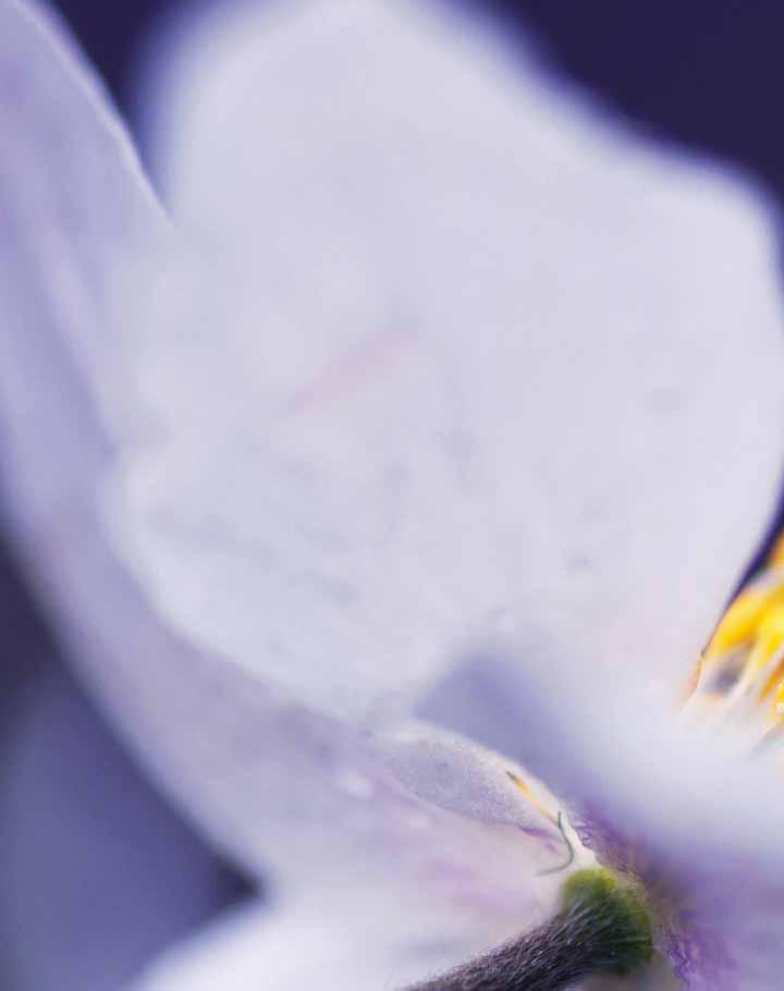 Foto: Markbladet Mostphotos Händer under våren Kvinnofrukost blir det lördag 9 mars kl. 09.00 11.00 i Örby församlingshem.