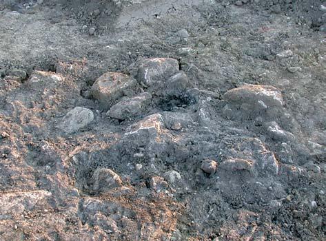Fig. 8. Stenpackning 240. Sökschaktets bredd i bildens övre, vänstra hörn är 1,8m.