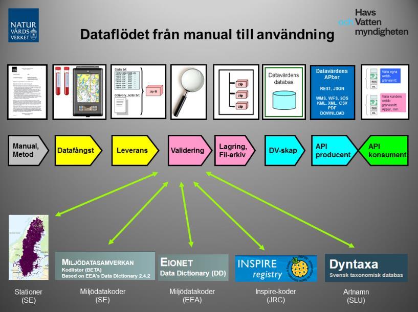 Naturvårdsverket Swedish