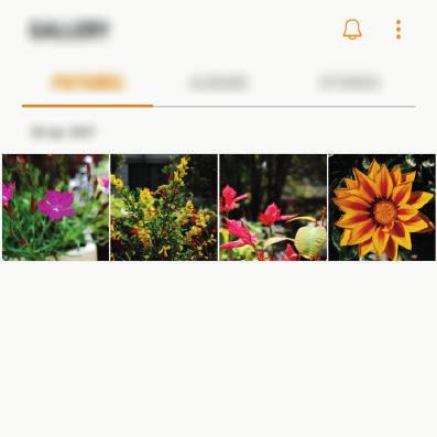 Appar Galleri Inledning Visa bilder och videor som är lagrade på enheten.