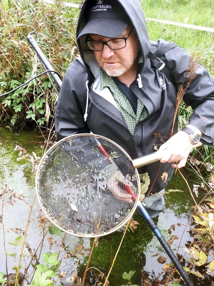 Lillån är ett större vattendrag (bredd: 3 m), med relativt lugnt flytande partier. Lokalen som fiskades bestod av sandig till dyig botten med inslag av lera och med kallare vatten (djup: ca 1 1,5 m).