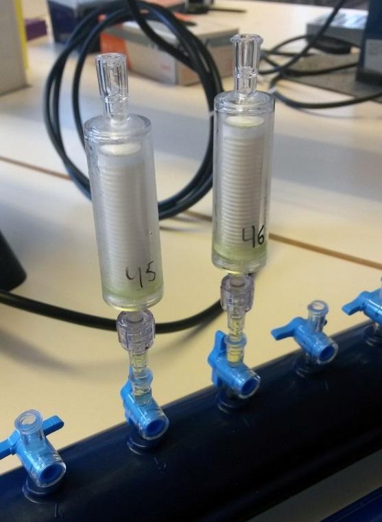 Protokoll för DNA-extraktion Detta protokoll beskriver DNA-extraktion från Sterivex-filter med DNeasy Power- Water Sterivex Kit (i enlighet med tillverkarens rekommendationer).