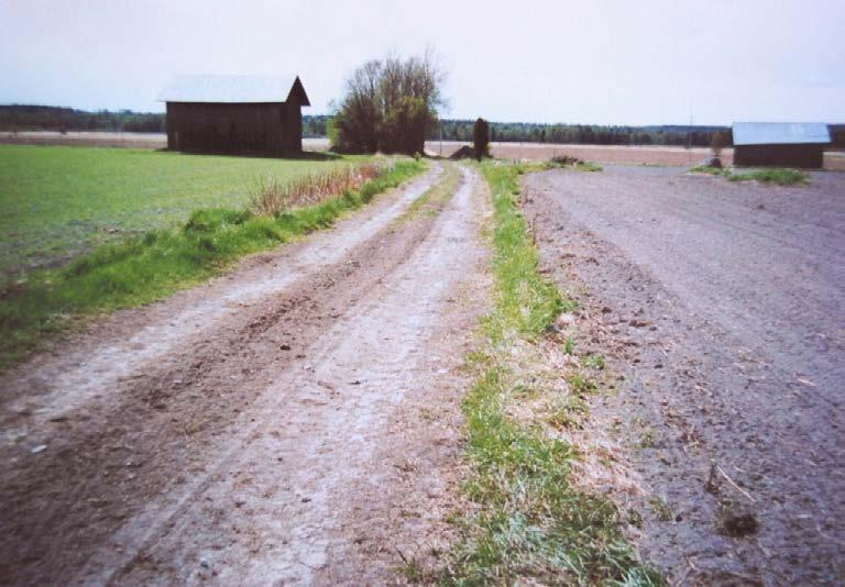 Figur 3. Ortolansparvsrevir i jordbrukslandskap med flera viktiga komponenter.