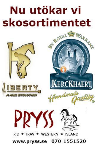 Inledningen med åtta hästar varav flera riktiga profilhästar och avslutningen med tolv finalister i vår Stoserie känns som en perfekt kompott när det är dubbeljackpot och Grand Slam med 0 miljoner