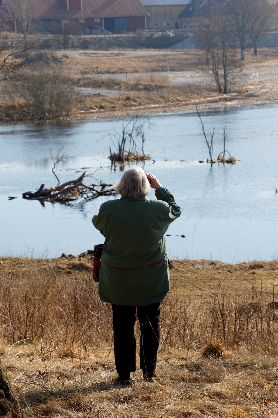 Naturvårdsverket Swedish Environmental