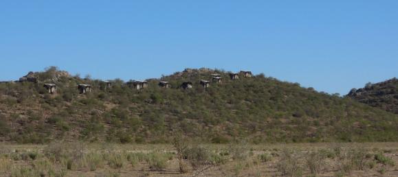 15 sedan iväg på en Game drive. Vi fokuserade på fåglar men såg även Mountain Zebras, Rock Hyrax och Greater Kudus bland andra däggdjur. Det var en fin morgon med perfekt temperatur.