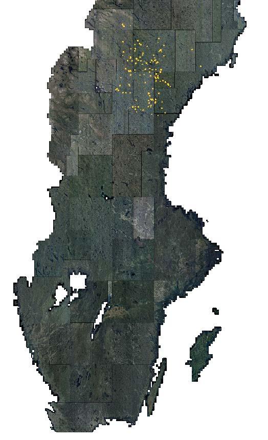 BWH and altitude) were selected. Then, species mixture was collected from register data.