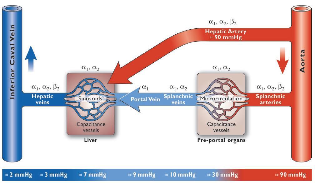 flödesreglering passive recoil i