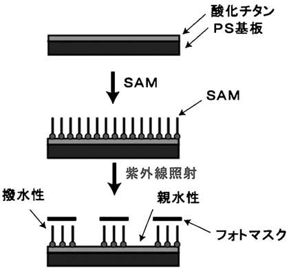 PS PS 0 SAM : Self-Assembled