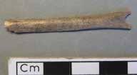 Fnr. 1061 Bennål. Längd: 4,7 cm. Vid ankomst till konserveringen var nålen torr. Båda ändarna var avbrutna och saknades.