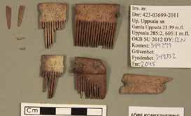 Fnr. 2045 Sammansatt enkelkam med tre stycken nitar av kopparlegering. Kammen är gjord av ben eller benhorn. Bestod av delar av stödskenor på båda sidor samt fyra tandskivor. Saknar ornamentik.