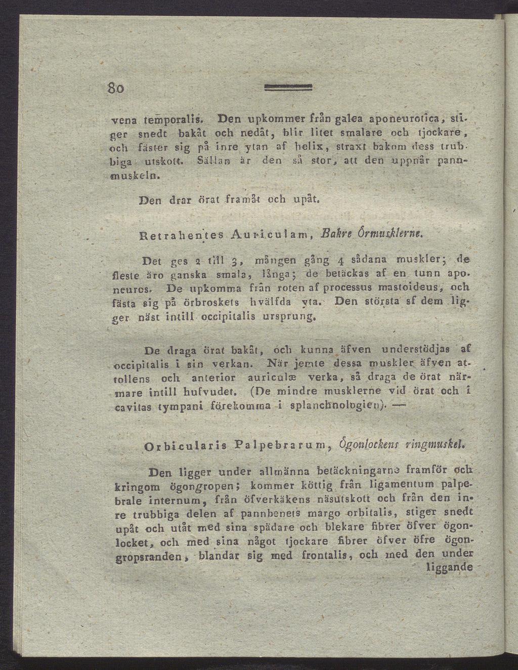 So vena temporalis. Den upkommer från galea aponeurotlea, sllger snedt bakåt och nedåt, blir litet smalare och tjockare, och fäster sig på inre ytan af helix, straxt bakom dess trub biga utskott.