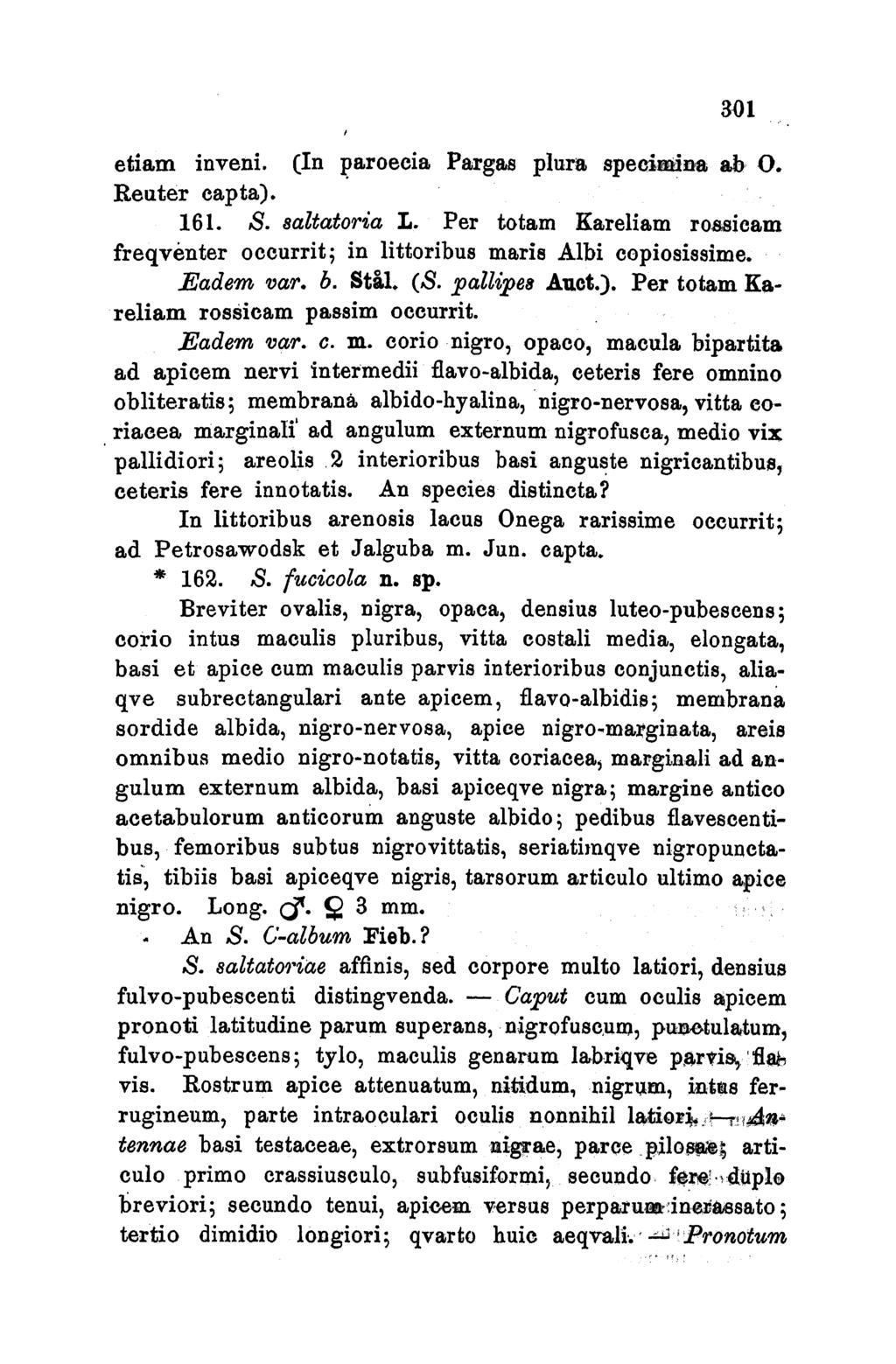 301 etiam inveni. (In paroeeia Pargas plura specimi"na ab 0. Reiter capta). 161. S. 8altatoria L. Per totam Kareliam rosieam freqventer occurrit; in littoribus maris Albi copiosissime. Eadem var. b.