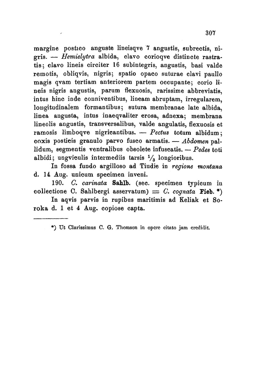 307 margine postico anguste lineisqve 7 angustis, subrectis, nigris.