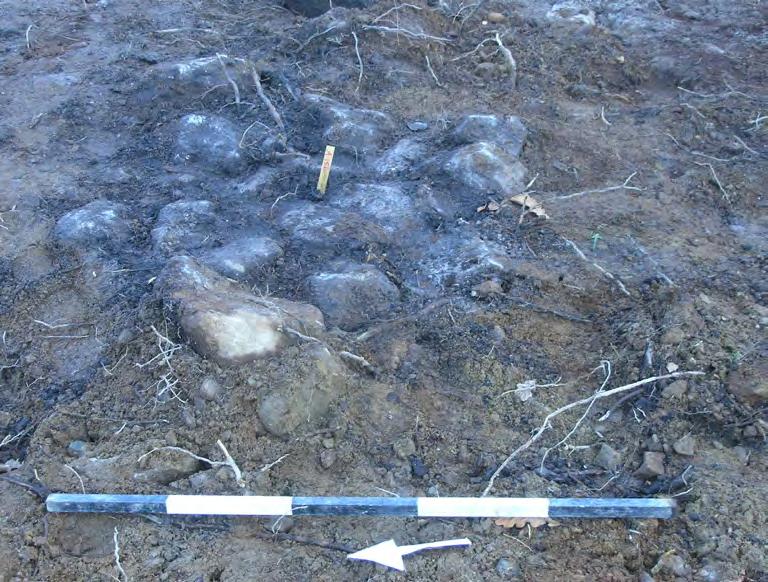 Bilaga 1. Anläggningsbeskrivningar A155 Stensättning?, oregelbunden/osäker form (ej helt framschaktad), minst 3,0 1,6 m stor och 0,14 m hög.