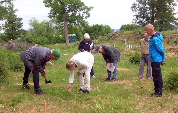 Växtinventeringen Vårfruberga kloster var ett fungerande kloster på nuvarande plats från 1289 fram till slutet av 1520-talet. Klostret lades ner i samband med reformationen.