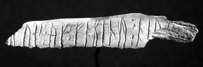 C H A R L O T T E H E D E N S T I E R N A-JONSON Fig. 1. Runben från Birkas garnison (Gustavson 2001, 2009). Foto Bengt A Lundberg, Kulturmiljöbild. ta funktioner och behov (Hedenstierna-Jonson 2006).