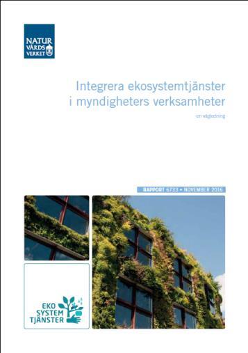 produktionen av viktiga ekosystemtjänster ekosystemtjänster vars förvaltning/säkerställande kräver samordning mellankommunalt och regionalt krav på den framtida