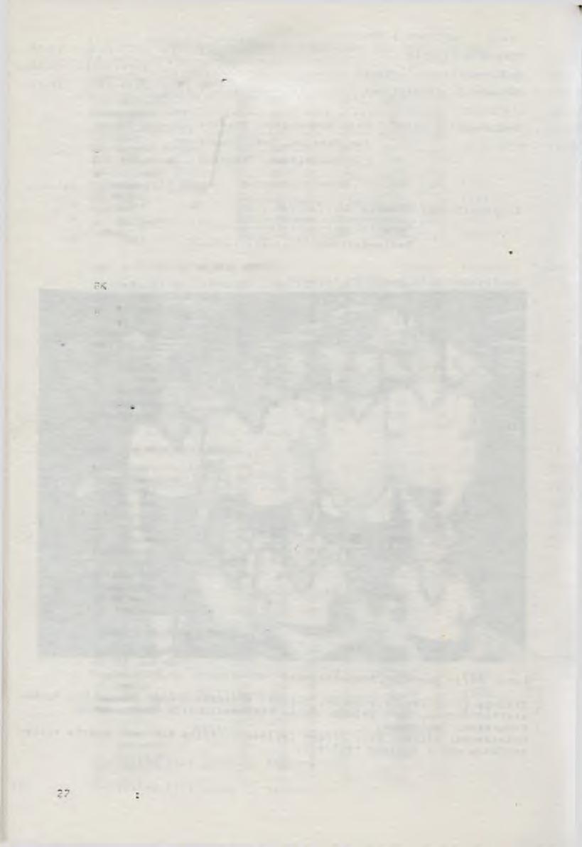 SLUTSTÄLLNINGARNA I 1983/1984 SRS SE RI E TS VL IN GAR DIU 1 GöTAL AND DA!